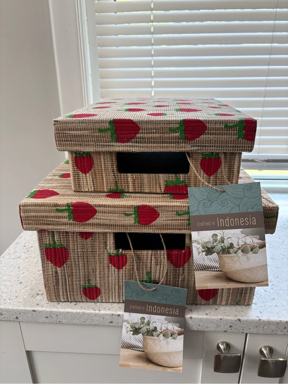 NWT Straw Woven Storage Boxes with Red Strawberry Print- 2 pack nesting